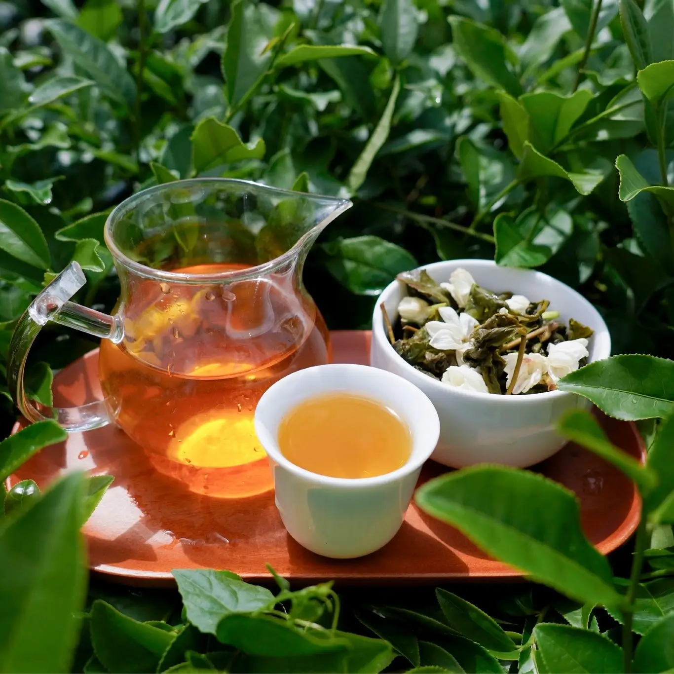 Tea visual 1